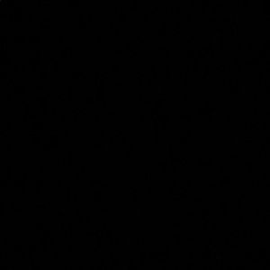 Meet your Posher, Rudy